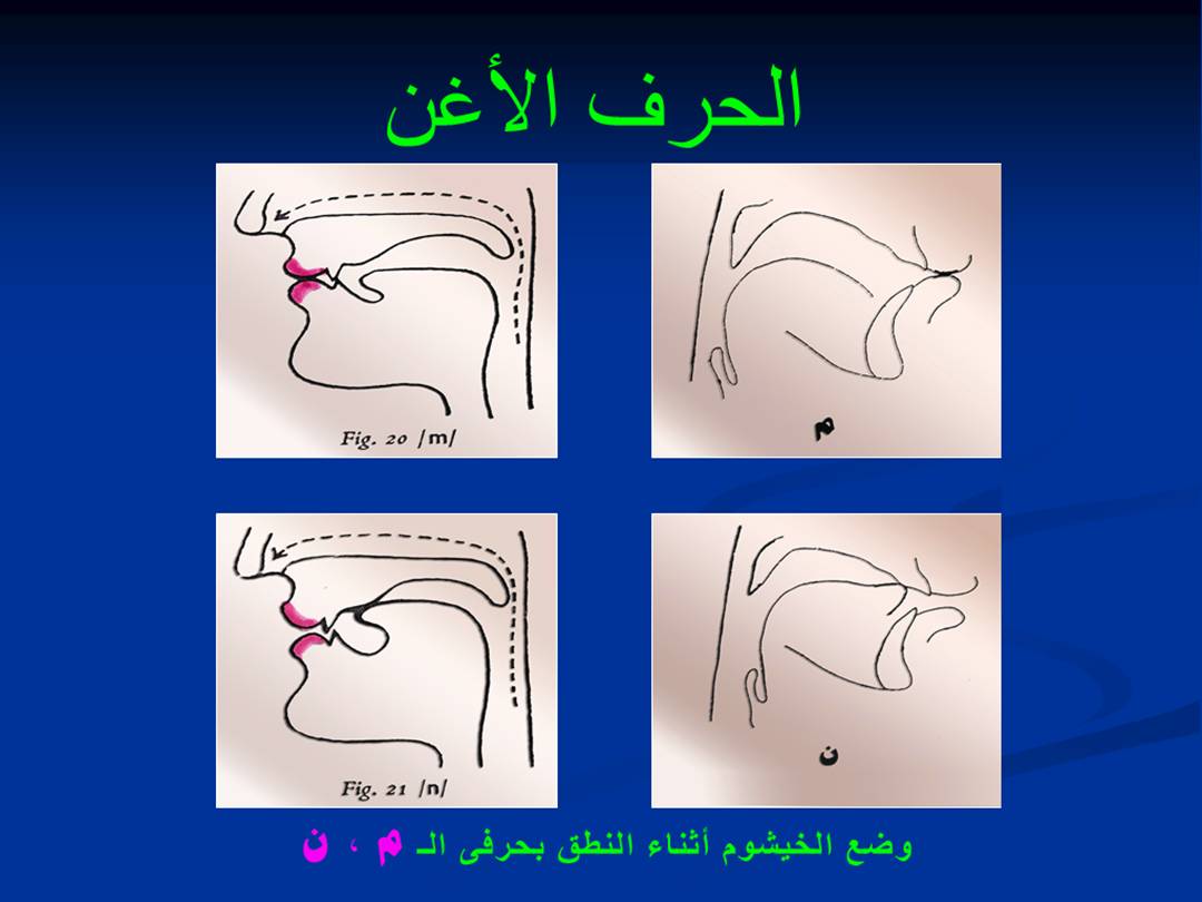 تجويد الحرف - مخارج الحروف